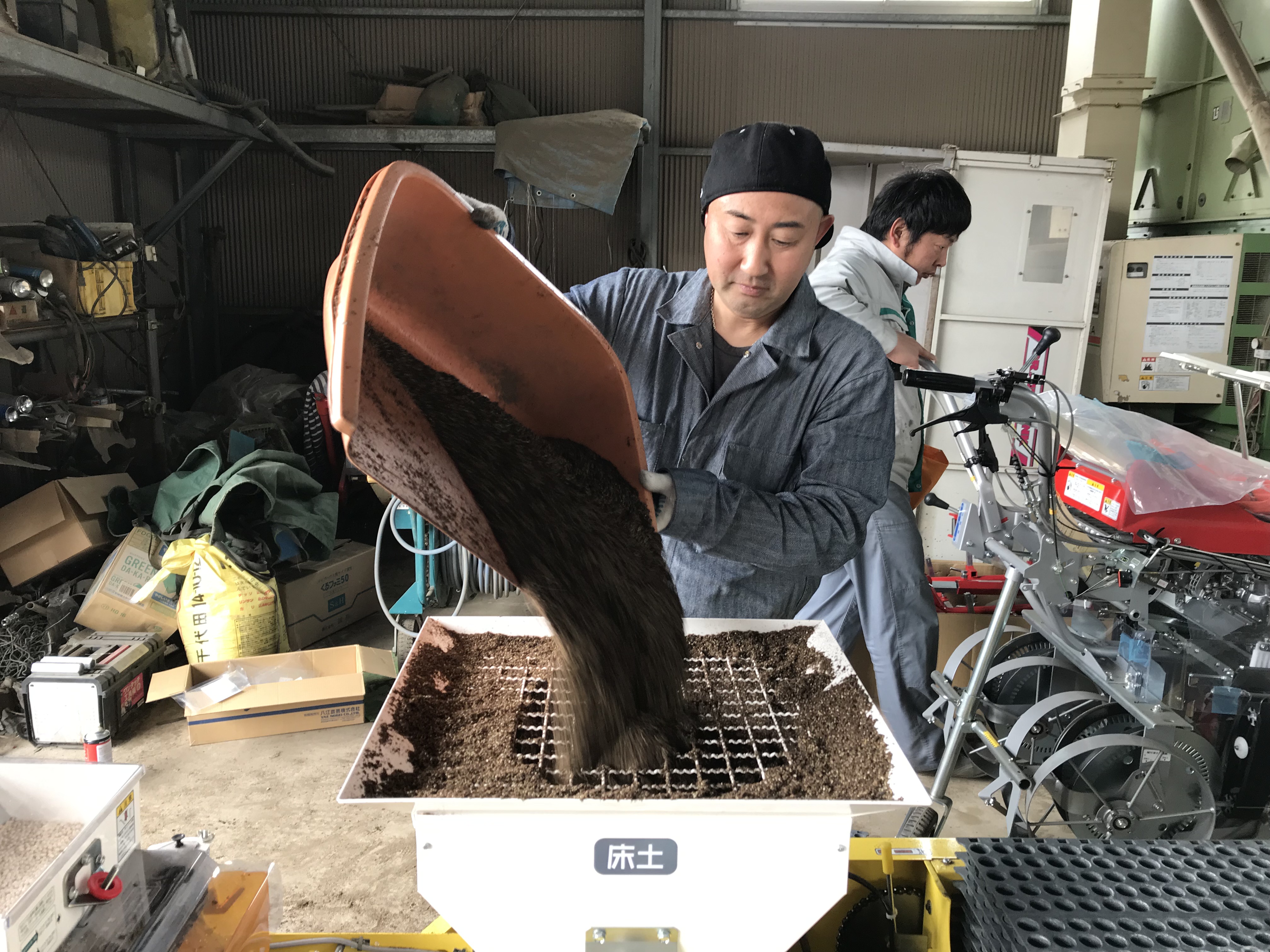 ニラ（ゆめみどり）の播種【2019年度】 | 農業法人 みずのえファーム